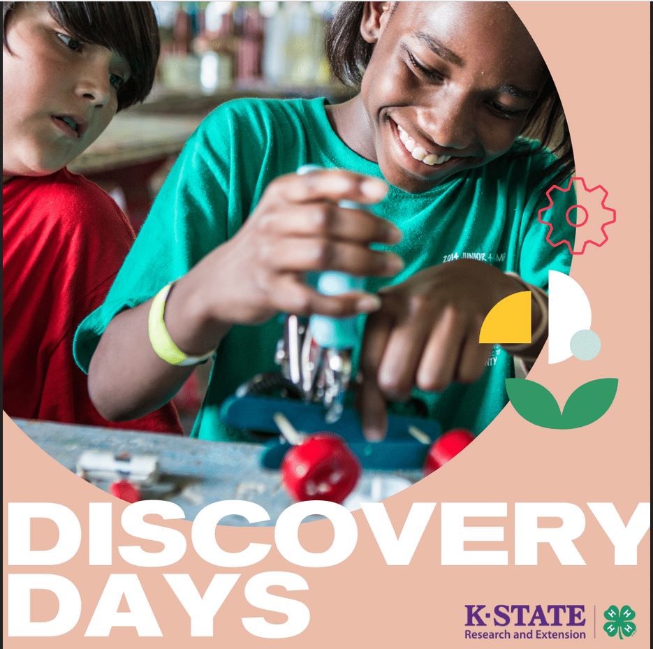 Discovery Days