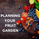 Planning Your Fruit Garden